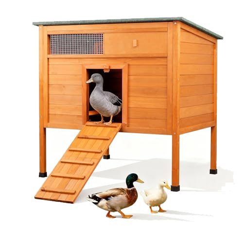 FunXplore Chicken Coop & Duck Coop