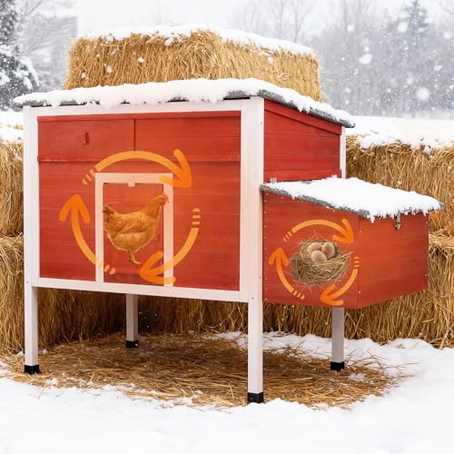 Wooden Chicken Coop for 1-2 Chickens